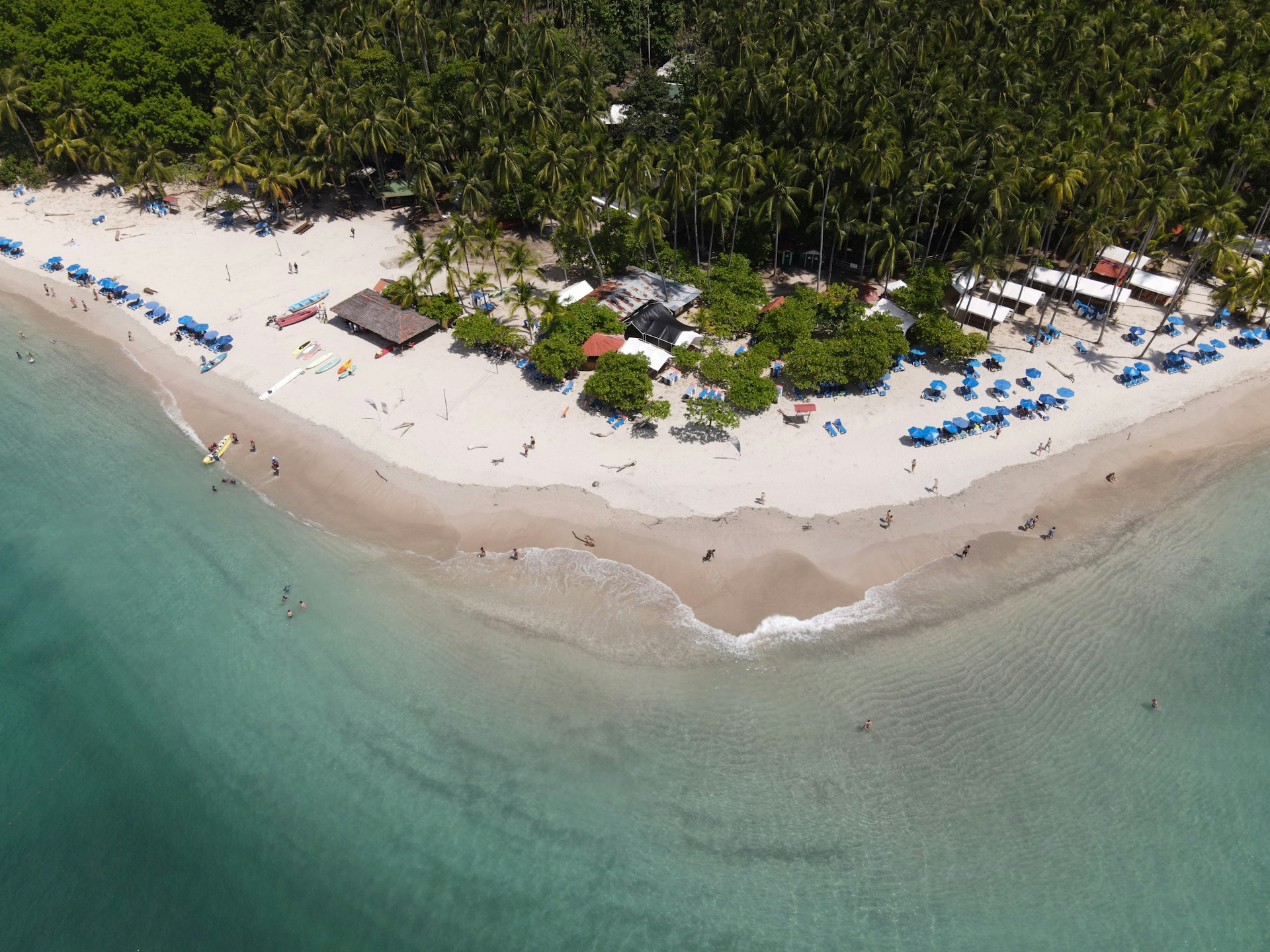 people on beach during daytime